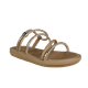 66494-1_clipped_rev_1.png