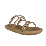 66494-1_clipped_rev_1.png