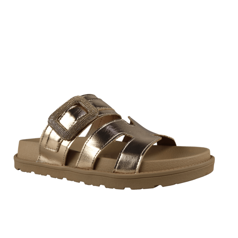 65056-1_clipped_rev_1.png