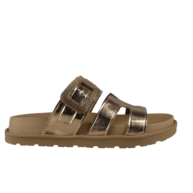 65056-2_clipped_rev_1.png