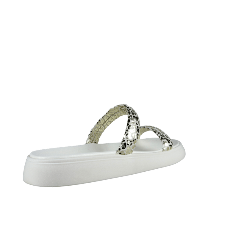 66496-3_clipped_rev_1.png