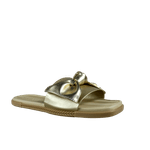 66461-1_clipped_rev_1.png