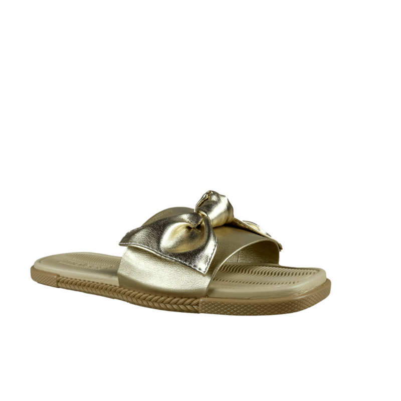 66461-1_clipped_rev_1.png