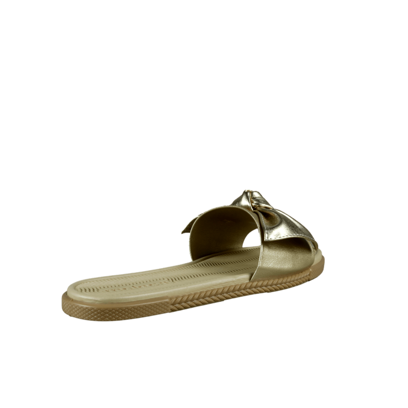 66461-3_clipped_rev_1.png