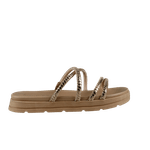 66508-2_clipped_rev_1.png