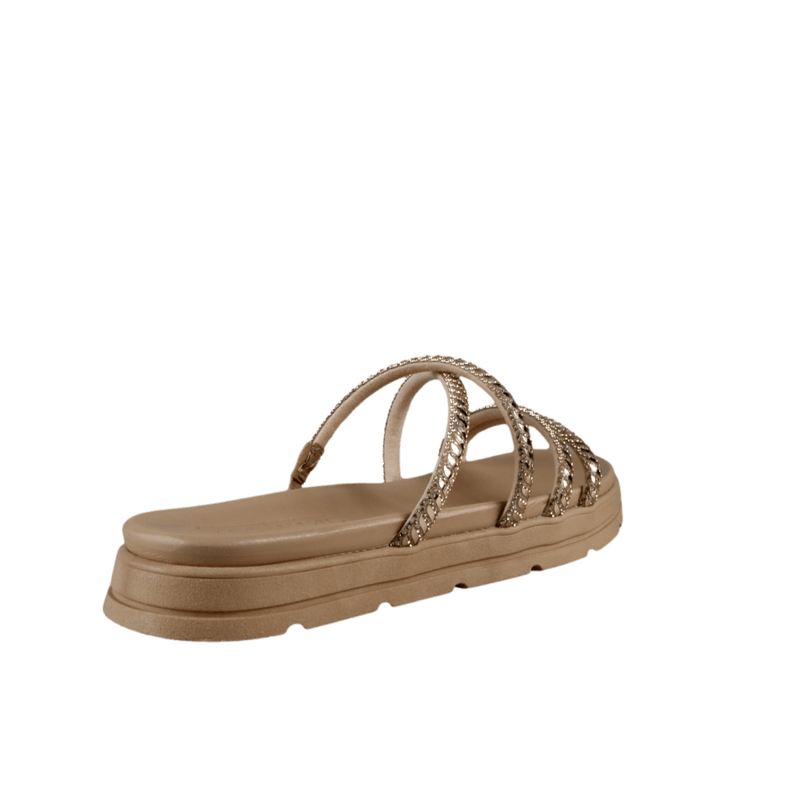 66508-3_clipped_rev_1.png