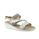 66696-1_clipped_rev_1.png