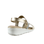 66696-3_clipped_rev_1.png