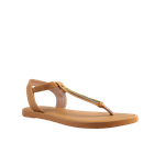 62805-1.png