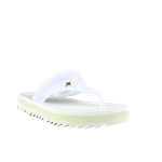 66533-1_clipped_rev_1.png