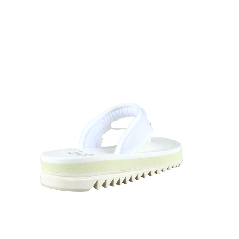 66533-3_clipped_rev_1.png