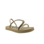 66553-1_clipped_rev_1.png