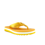 66537-1_clipped_rev_1.png