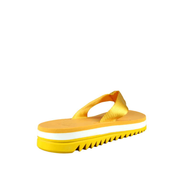 66537-3_clipped_rev_1.png