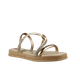 66554-1_clipped_rev_1.png