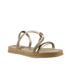 66554-1_clipped_rev_1.png