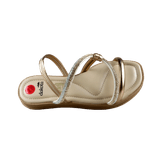 66554-3_clipped_rev_1.png