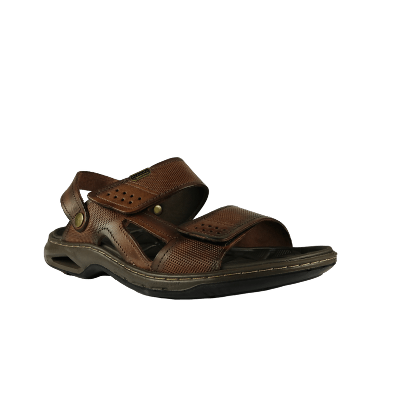 62581-1_clipped_rev_1.png