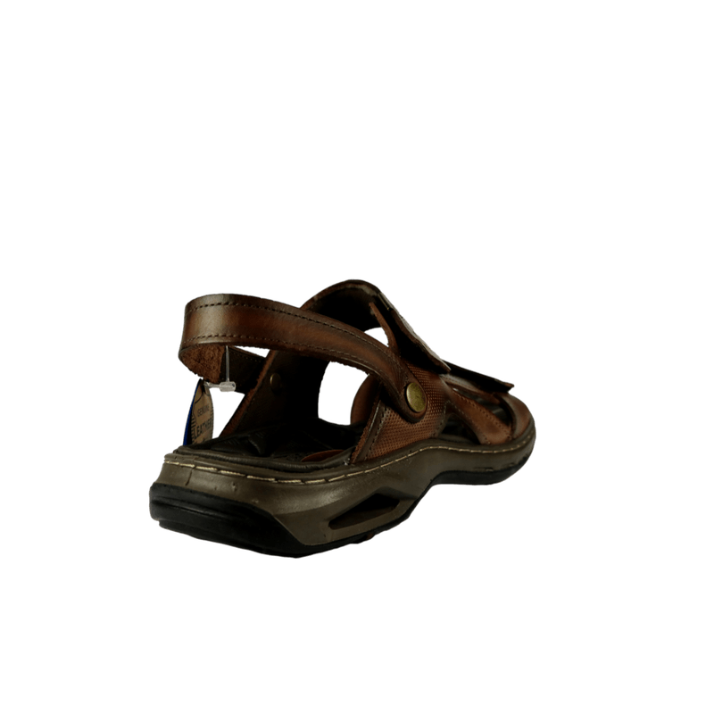 62581-3_clipped_rev_1.png