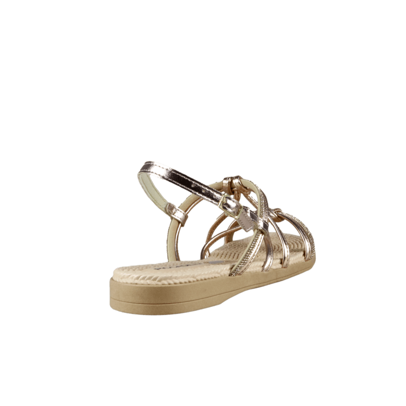 64977-3_clipped_rev_1.png