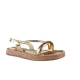 66555-1_clipped_rev_1.png