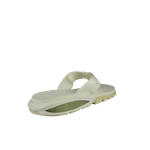 66362-2_clipped_rev_1.png