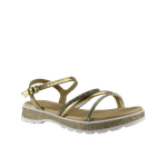66805-1-clipped-rev-1-png