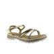 66805-1_clipped_rev_1.png