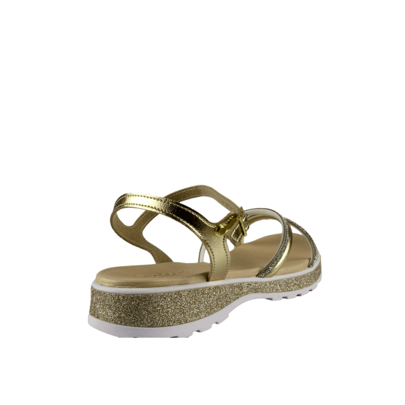 66805-3-clipped-rev-1-png