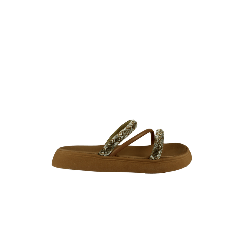 67019-2-clipped-rev-1-png