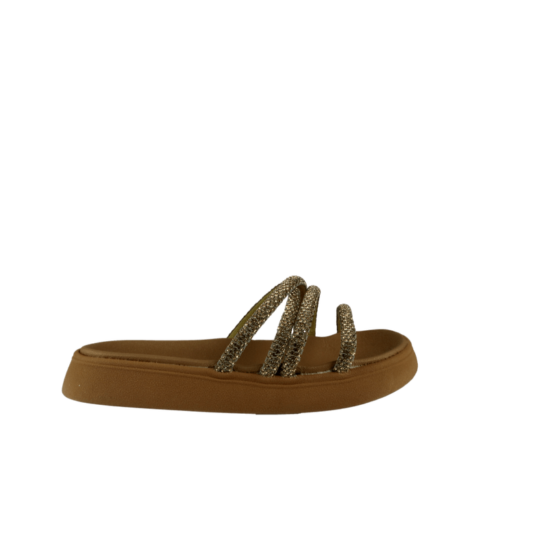 66820-2-clipped-rev-1-png
