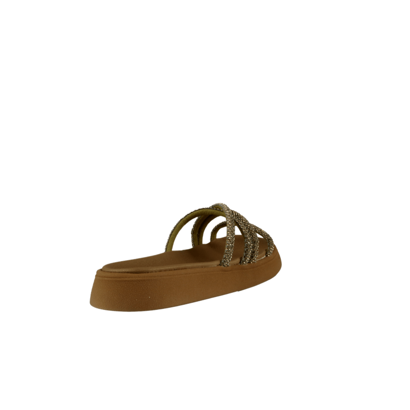 66820-3-clipped-rev-1-png