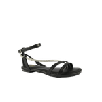 66779-1-clipped-rev-1-png