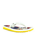 66543-1-clipped-rev-1-png