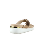 66693-3_clipped_rev_1.png