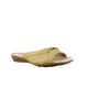 66703-1_clipped_rev_1.png