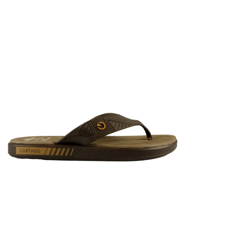 66735-2_clipped_rev_1.png