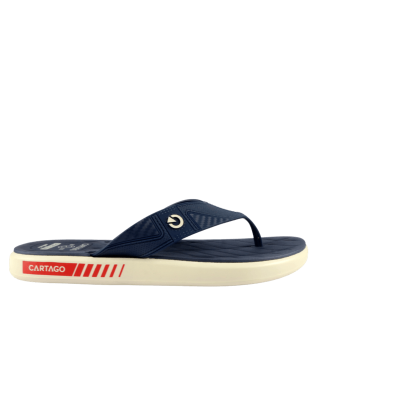 66734-2_clipped_rev_1.png
