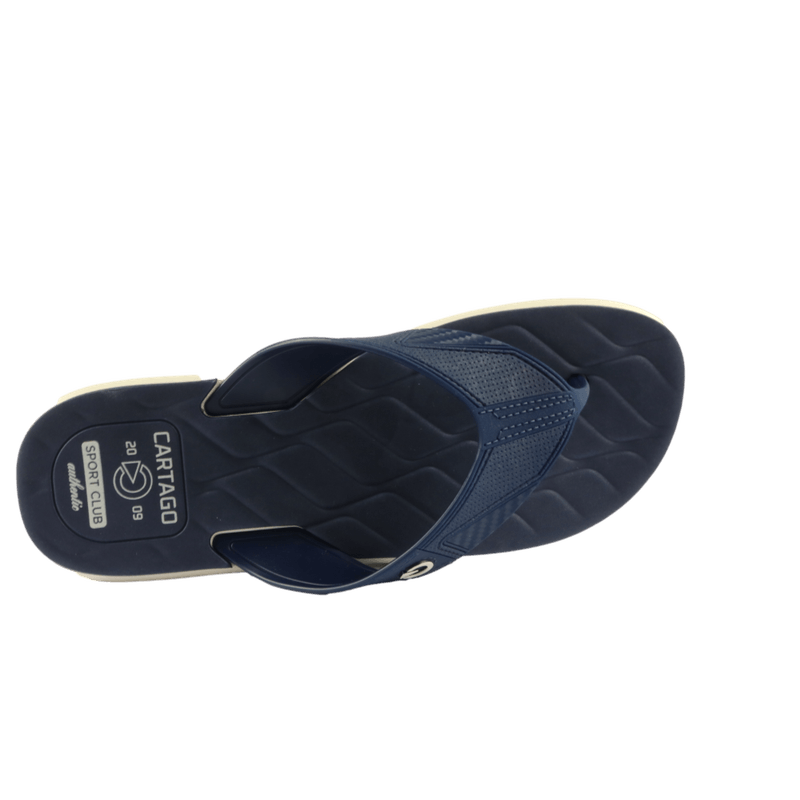 66734-3_clipped_rev_1.png