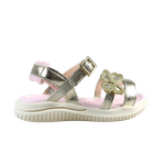 65969-2_clipped_rev_1.png