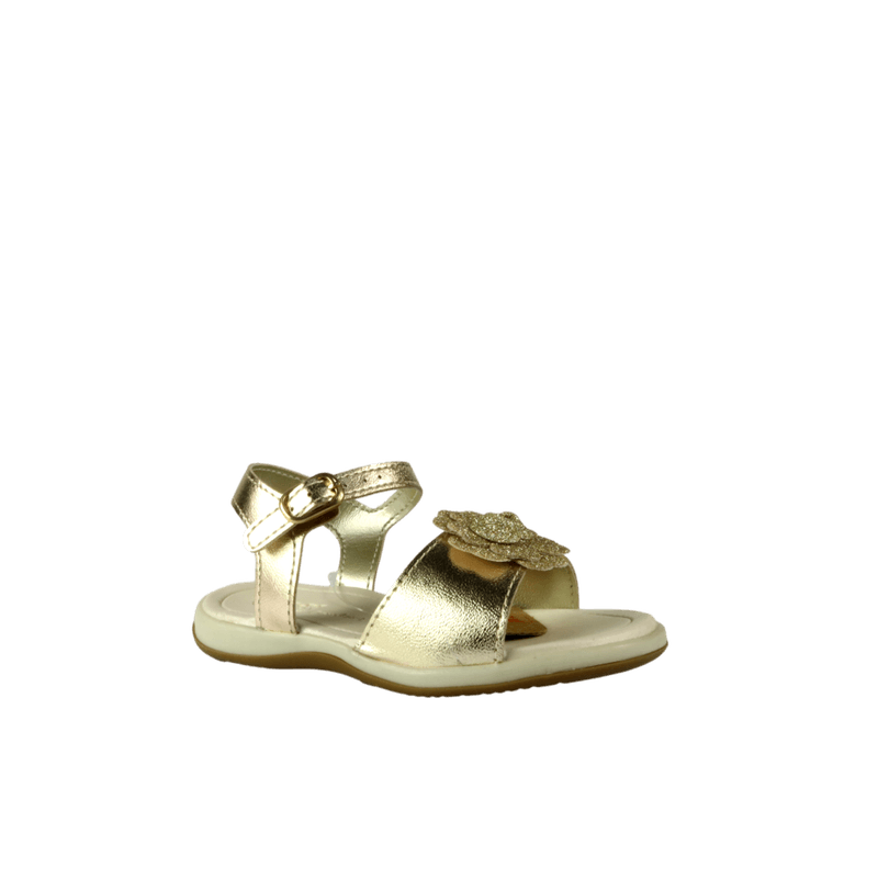 67069-1_clipped_rev_1.png