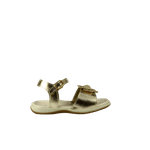 67069-2_clipped_rev_1.png