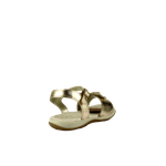67069-3_clipped_rev_1.png
