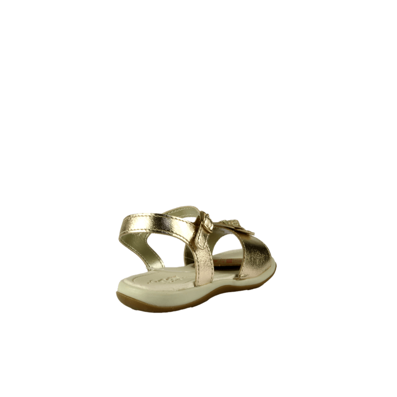 67069-3_clipped_rev_1.png