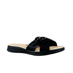 66663-1_clipped_rev_1.png