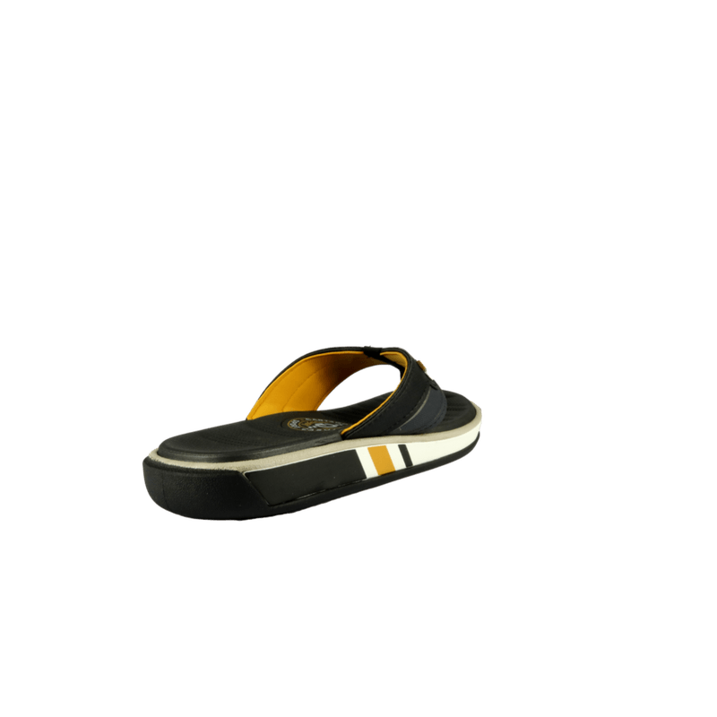 66732-3_clipped_rev_1.png