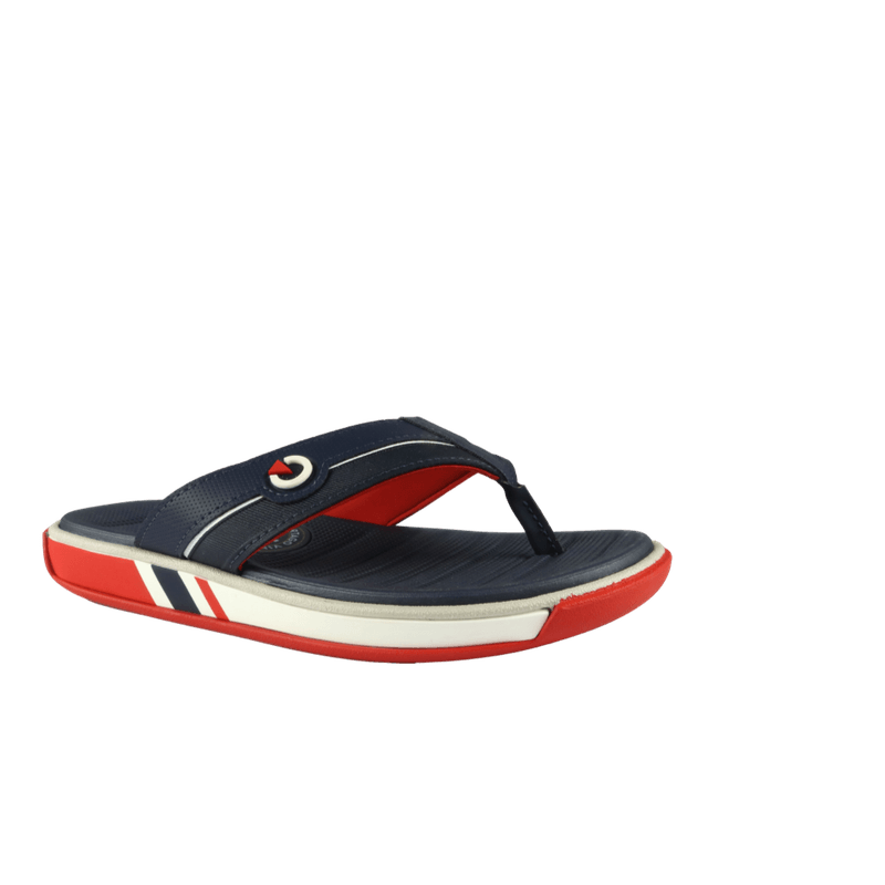 66733-1_clipped_rev_1.png