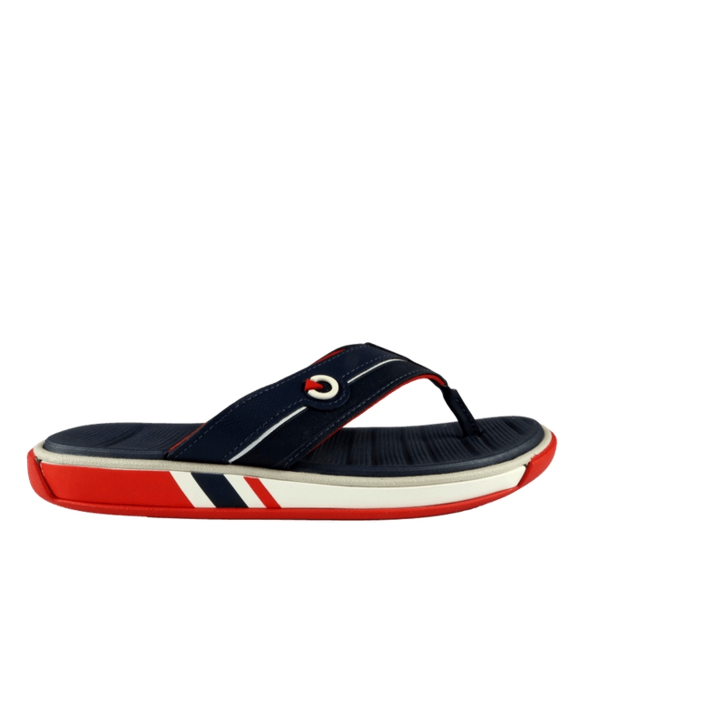 66733-2_clipped_rev_1.png