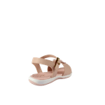 67068-3_clipped_rev_1.png