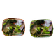 67660-1.1-.png